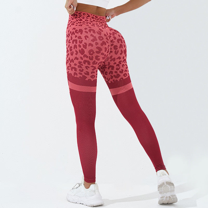 24k Spot Me Yoga Pants